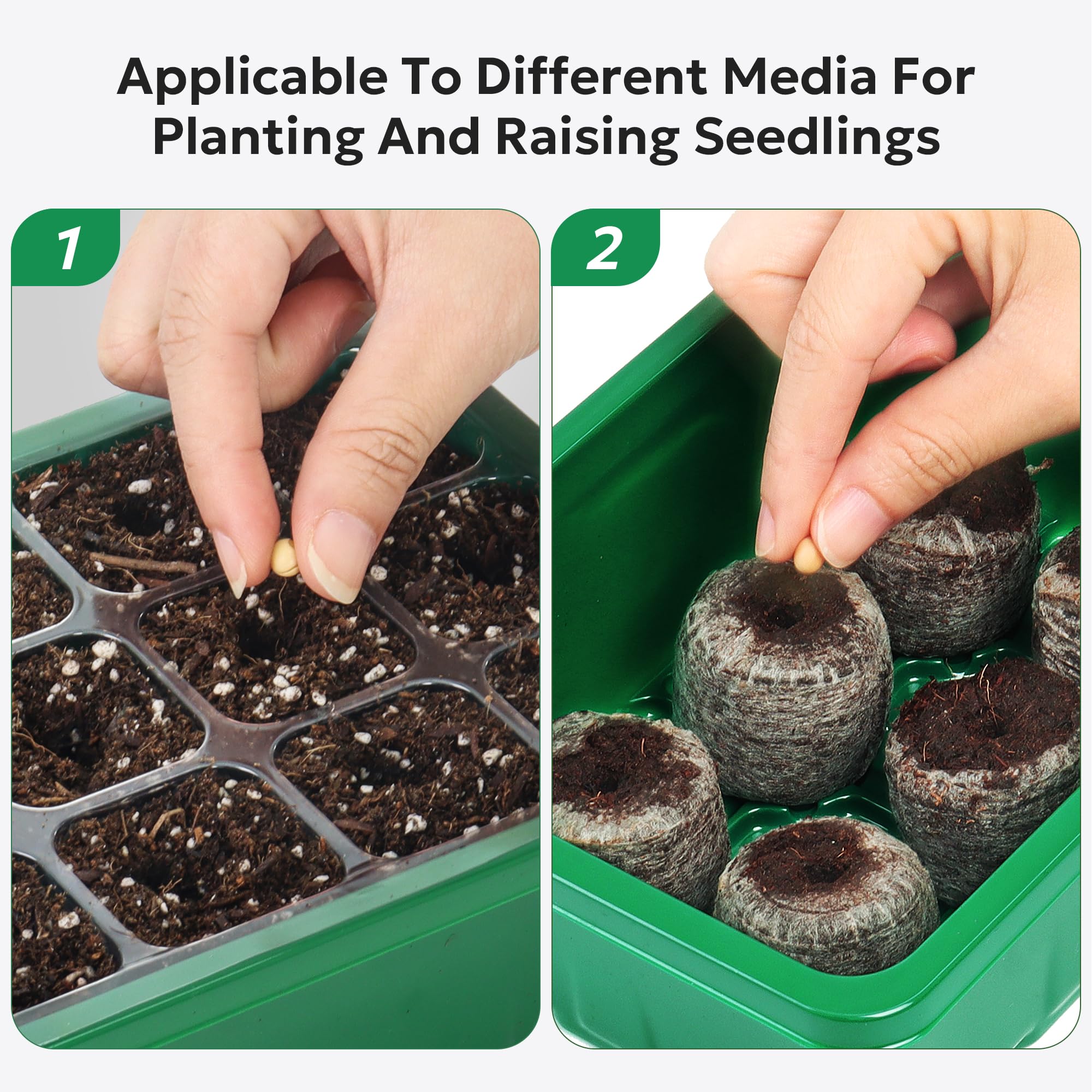 MIXC seed starter tray with soil and seeds planted