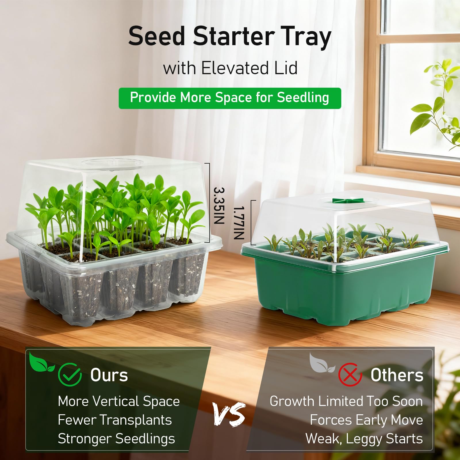 MIXC transparent seed tray with seedlings growing inside