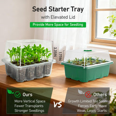 MIXC transparent seed tray with seedlings growing inside