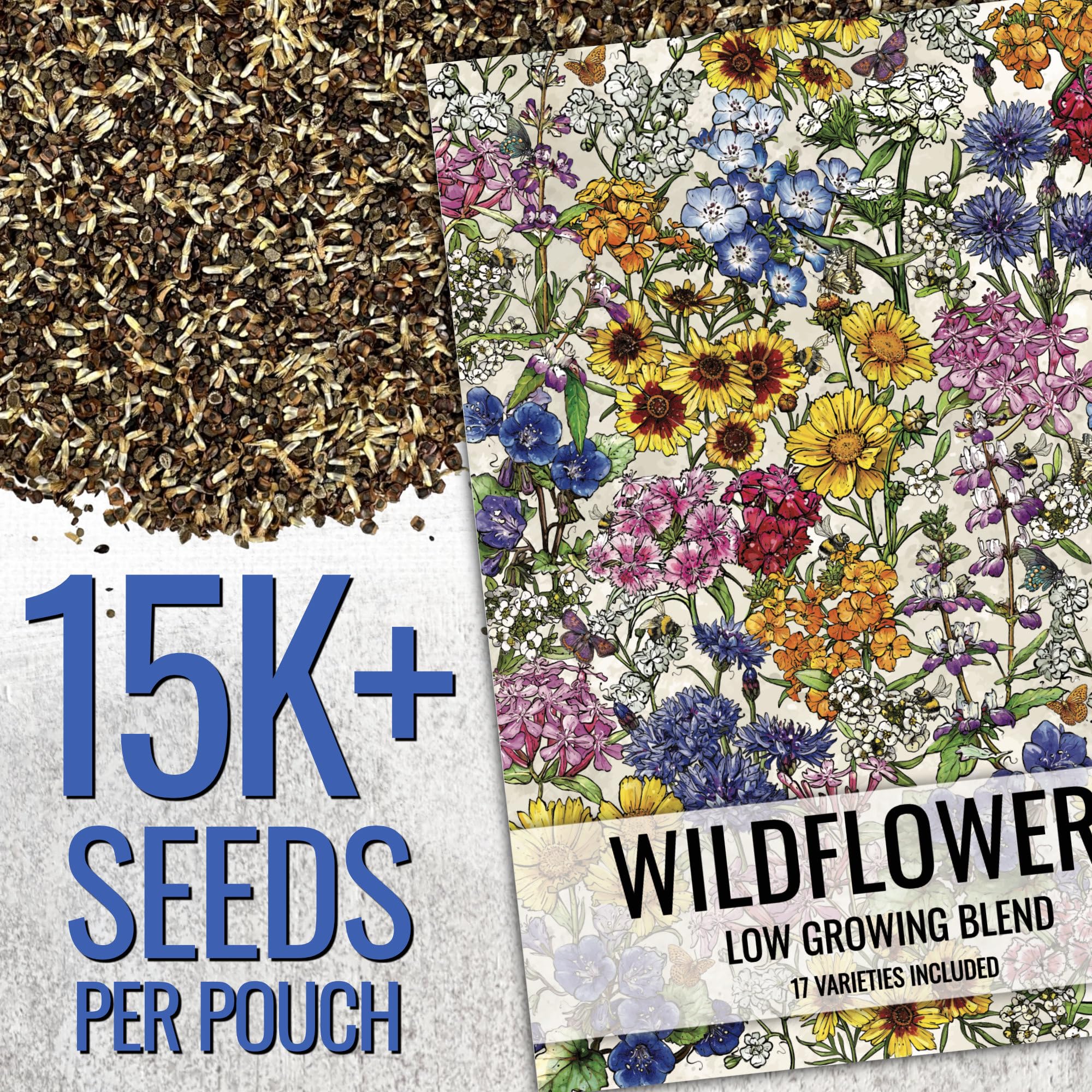 Mixed wildflower seeds including cornflower and California poppy