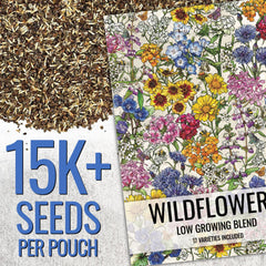 Mixed wildflower seeds including cornflower and California poppy