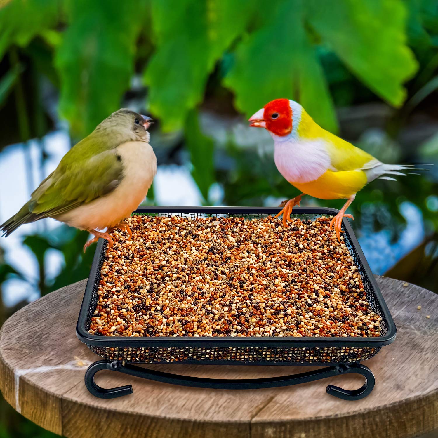 MIXXIDEA Metal Seed Tray for birds on grass