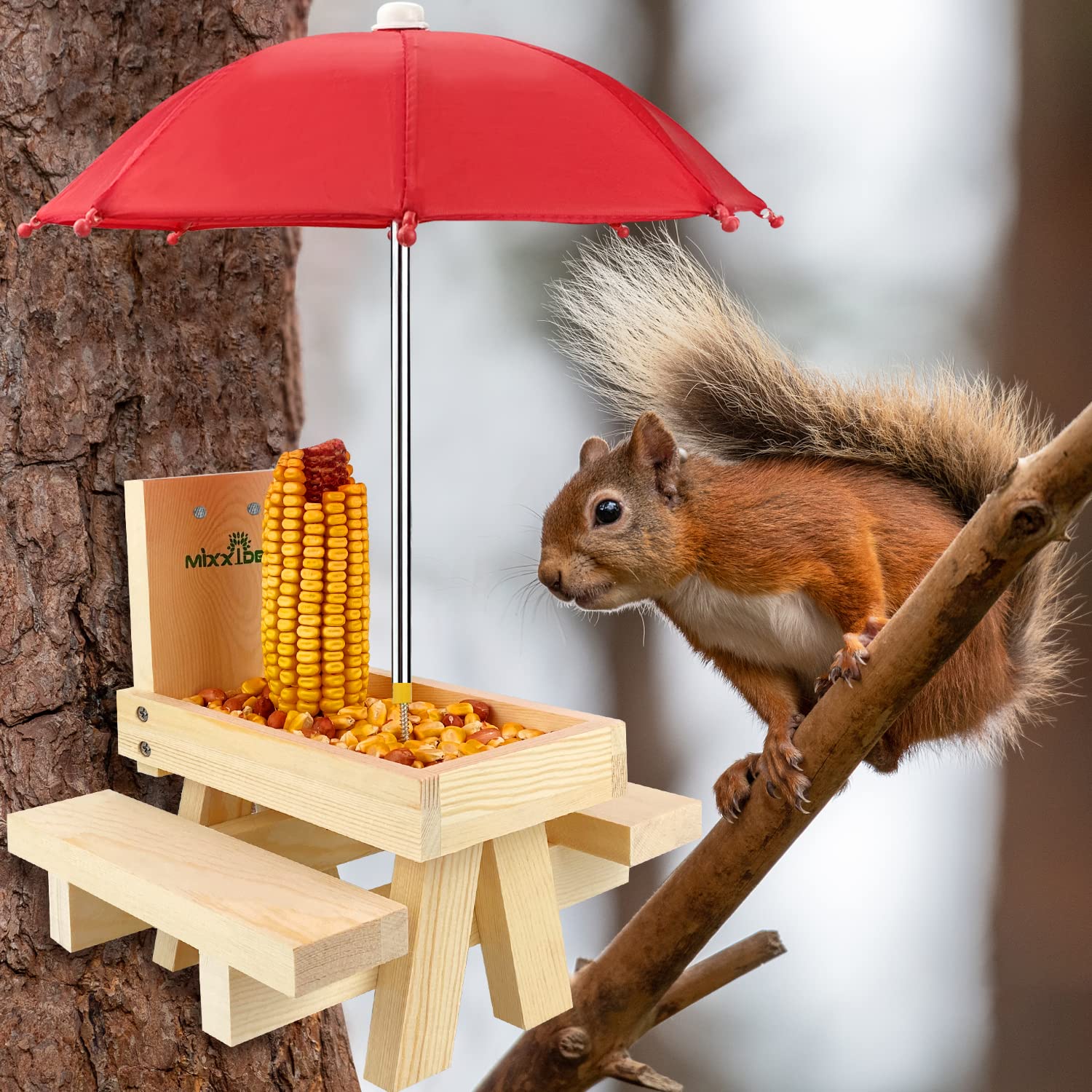 MIXXIDEA Squirrel Feeder with food placed on it
