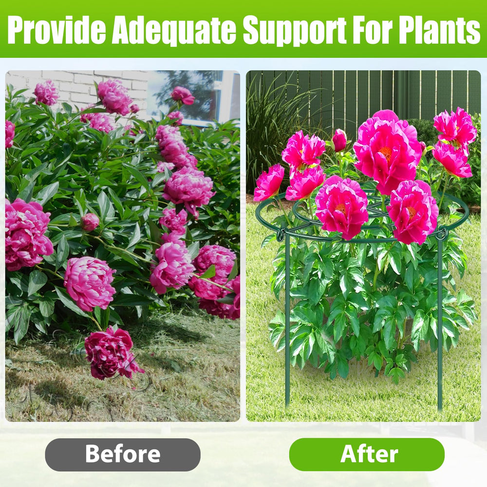 MJZ Peony Cages in a garden setting with blooming flowers