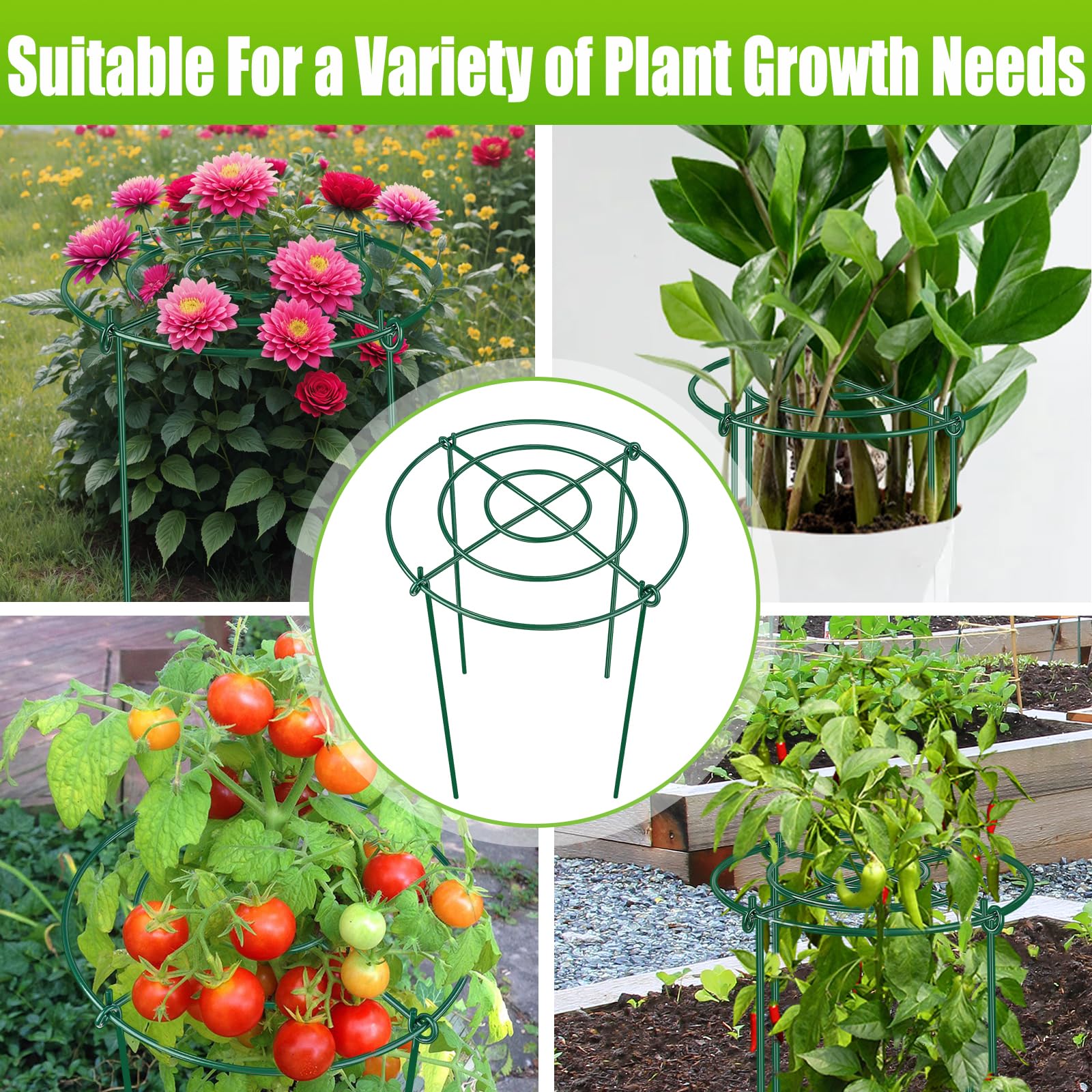 MJZ Peony Cages showcasing sturdy iron wire construction
