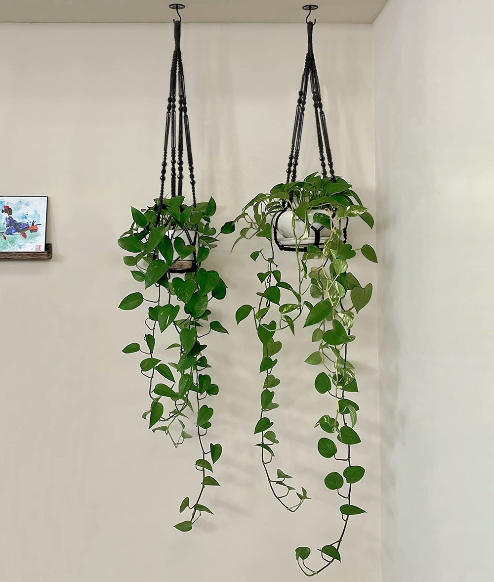 Mkono macrame plant hanger packaging view