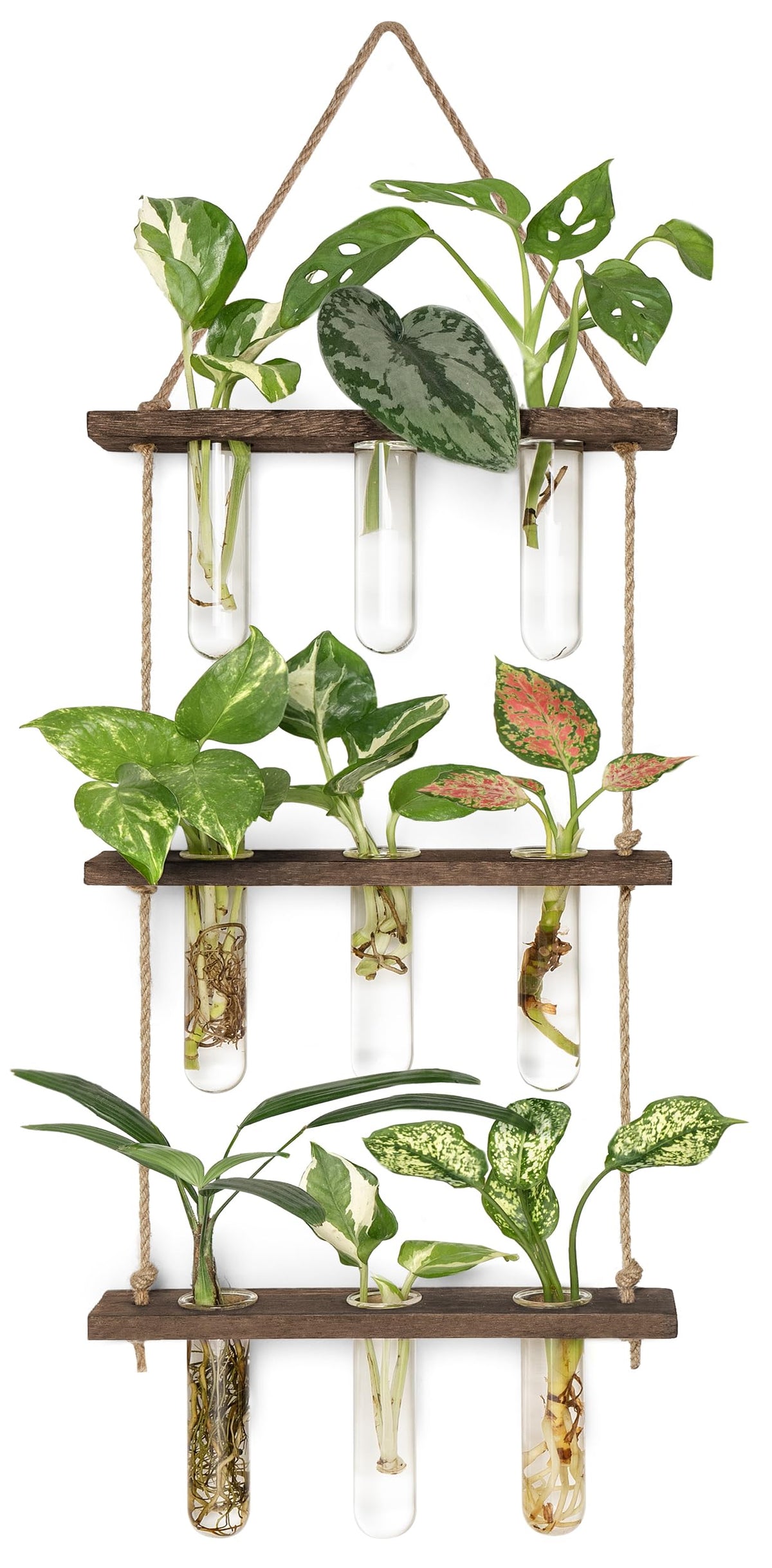 Mkono Plant Propagation Station front view with test tubes