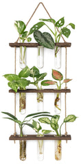 Mkono Plant Propagation Station front view with test tubes