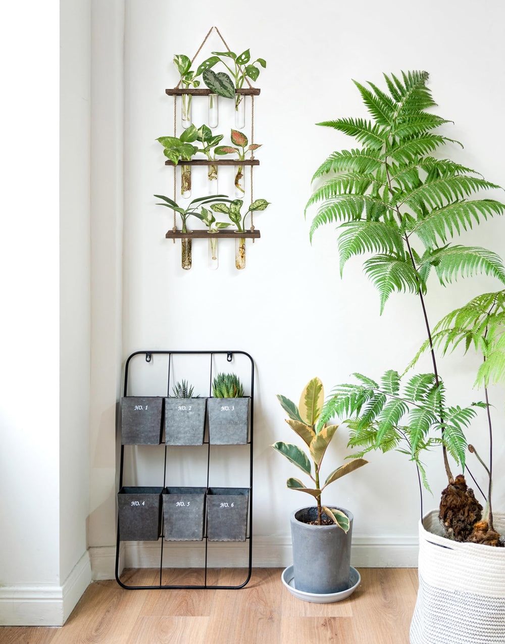 Mkono Plant Propagation Station on a window sill
