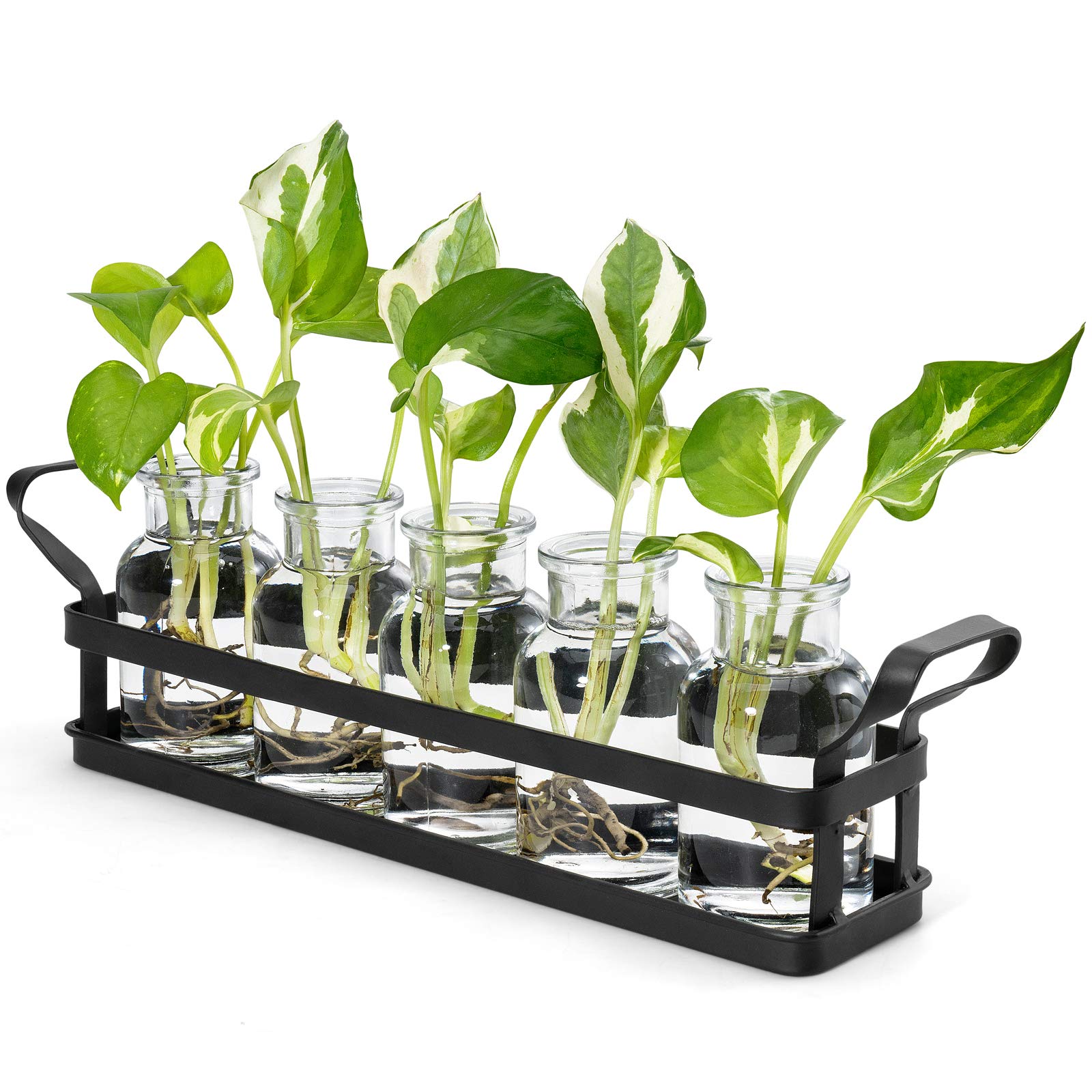 Mkono Propagation Station with 5 glass jars and metal stand