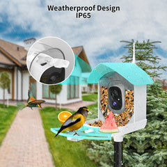 Mobile app interface for Fazoxo Bird Feeder Camera