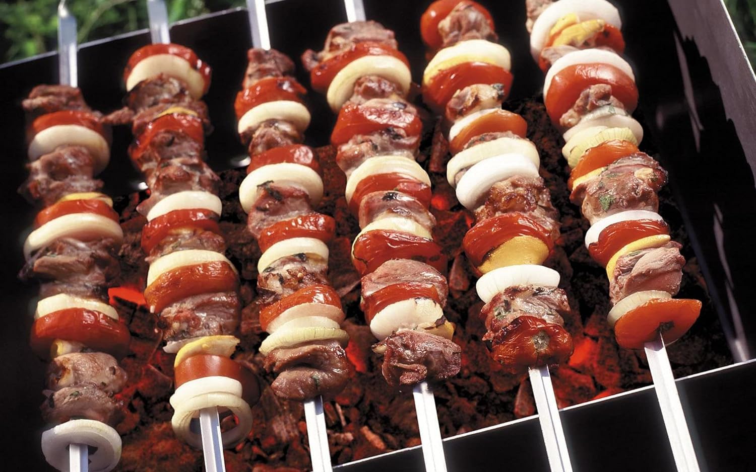 MOCUMEI kabob skewer with grilled vegetables