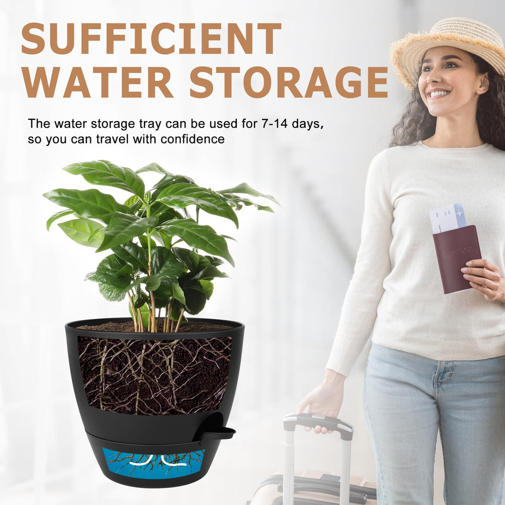 Modern aesthetic of QRRICA self-watering pots with matte finish