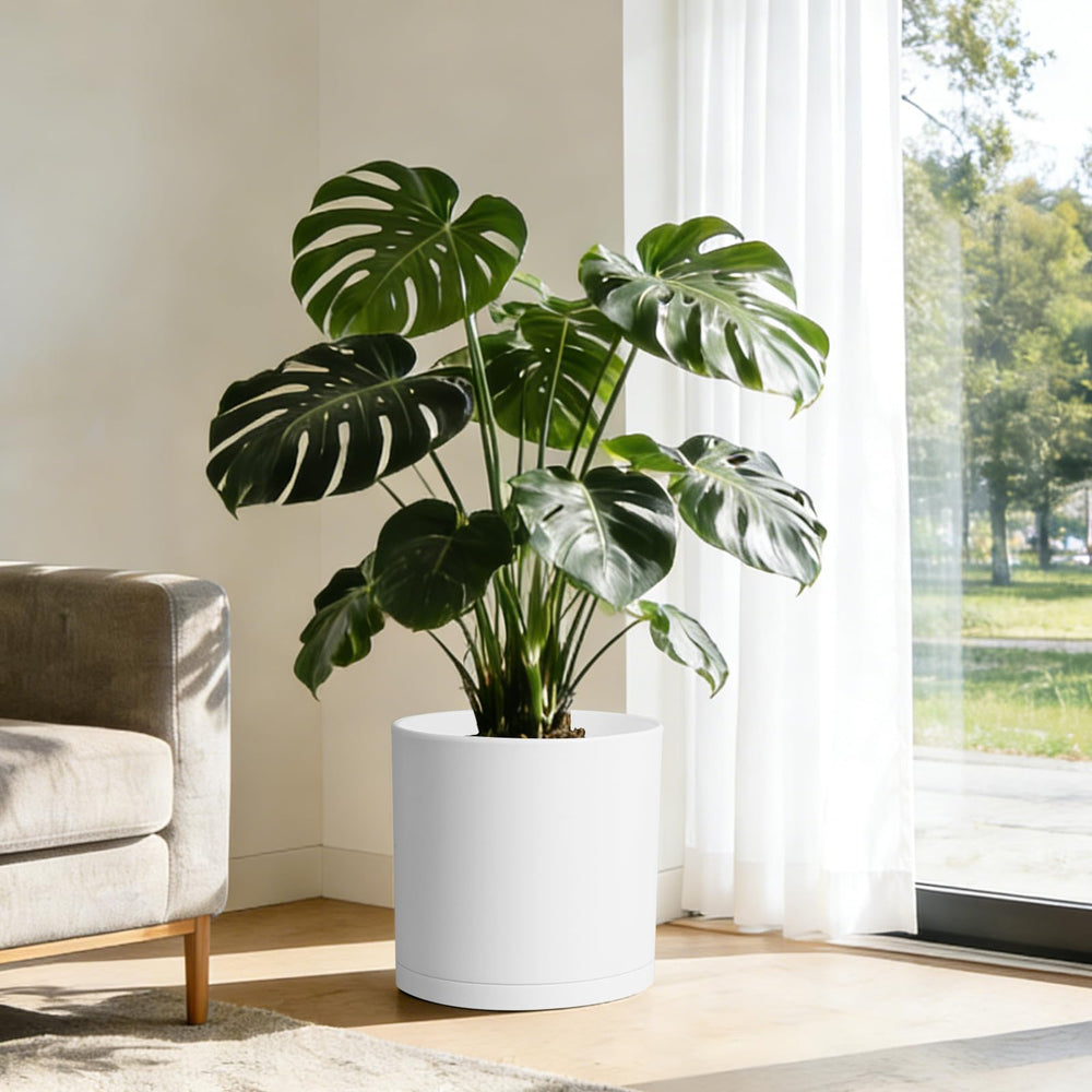 Modern design of WSMKSZ 14 inch planter with plants in an office setting