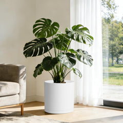 Modern design of WSMKSZ 14 inch planter with plants in an office setting