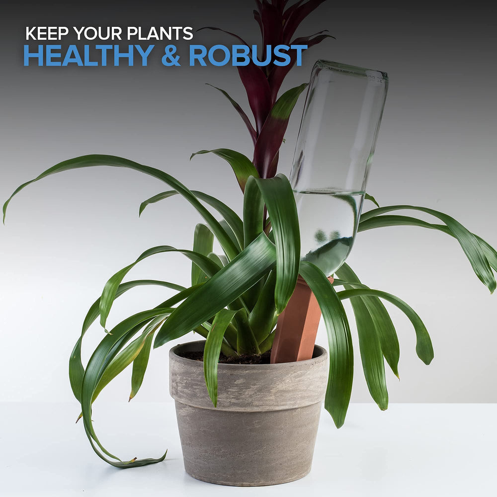 Modern Innovations self-watering spikes packaging