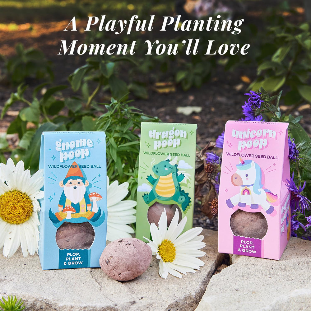 Modern Sprout seed ball being planted in soil