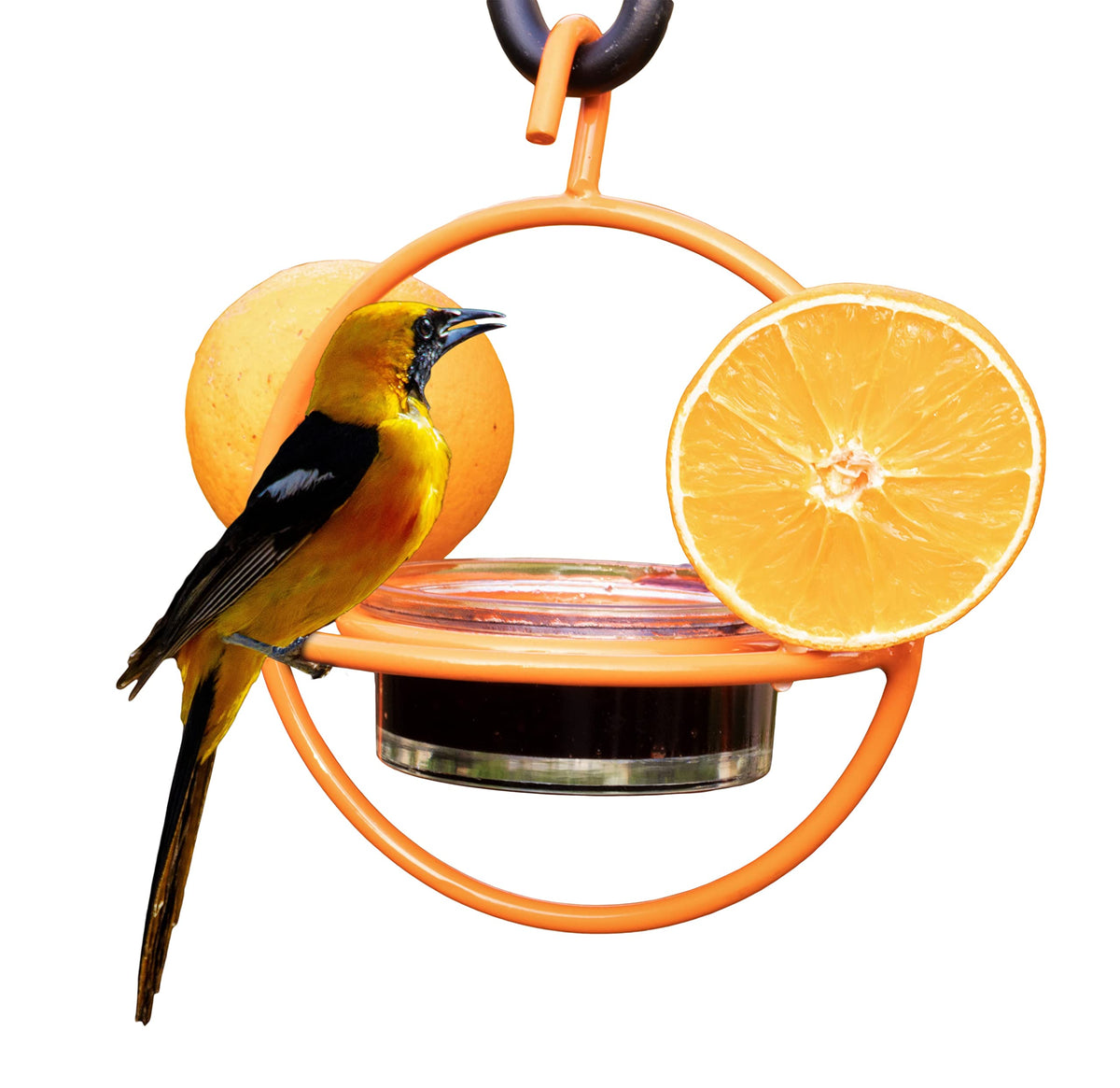 Monarch Abode Hanging Bird Feeder front view with orange metal frame