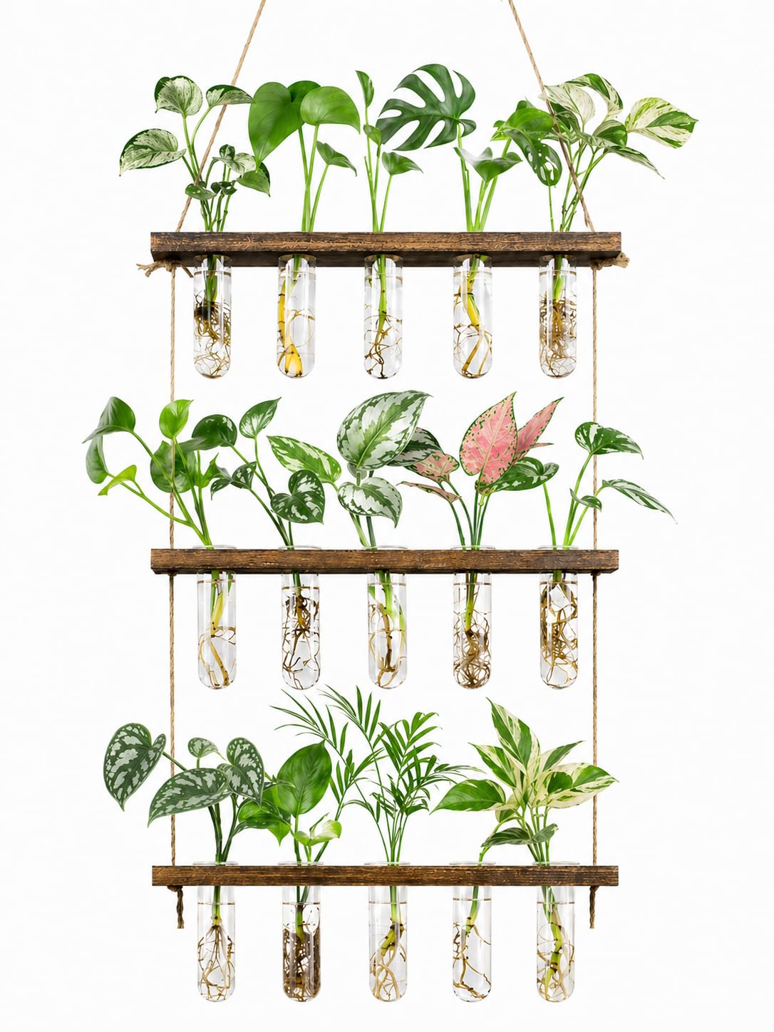 Monsiter QE 3 Tier Wall Hanging Propagation Station with glass test tubes