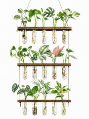 Monsiter QE 3 Tier Wall Hanging Propagation Station with glass test tubes