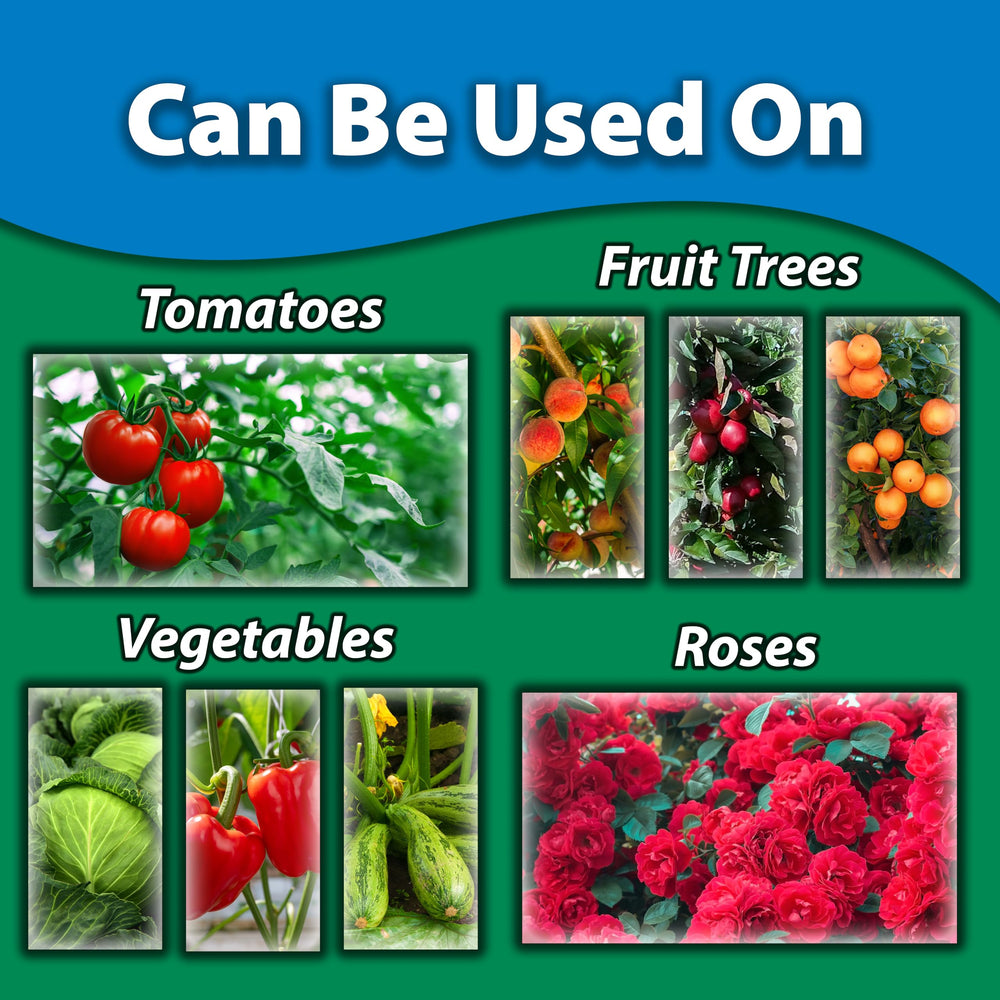 Monterey Horticultural Oil application scene on plants
