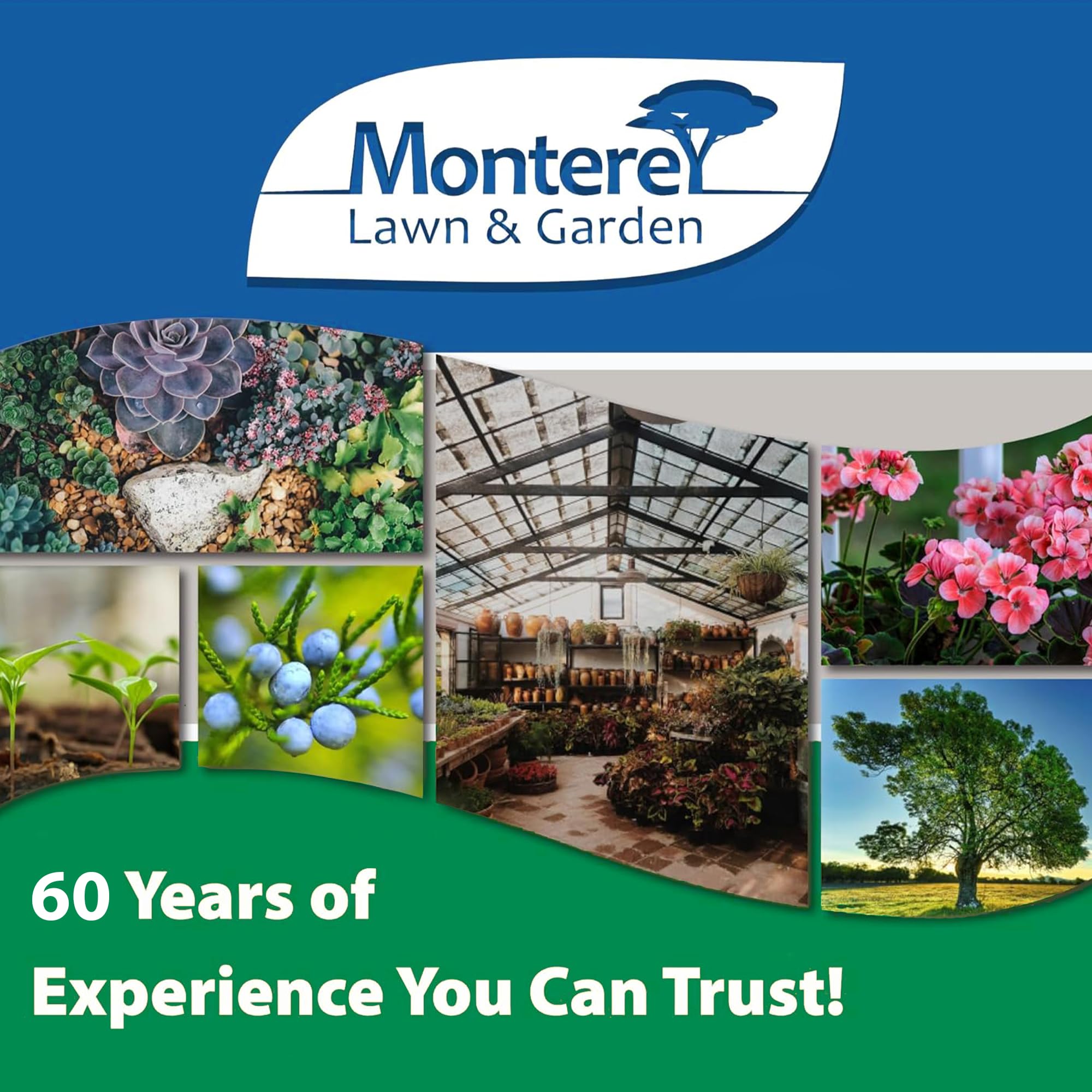 Monterey Horticultural Oil ingredients list