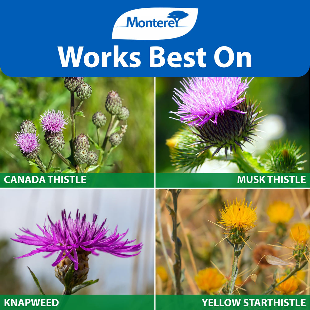 Monterey Thistledown Weed Killer Concentrate measuring spoon