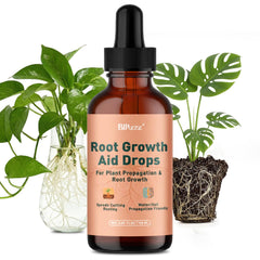 Montorchid Root Drops 4 oz bottle with dropper