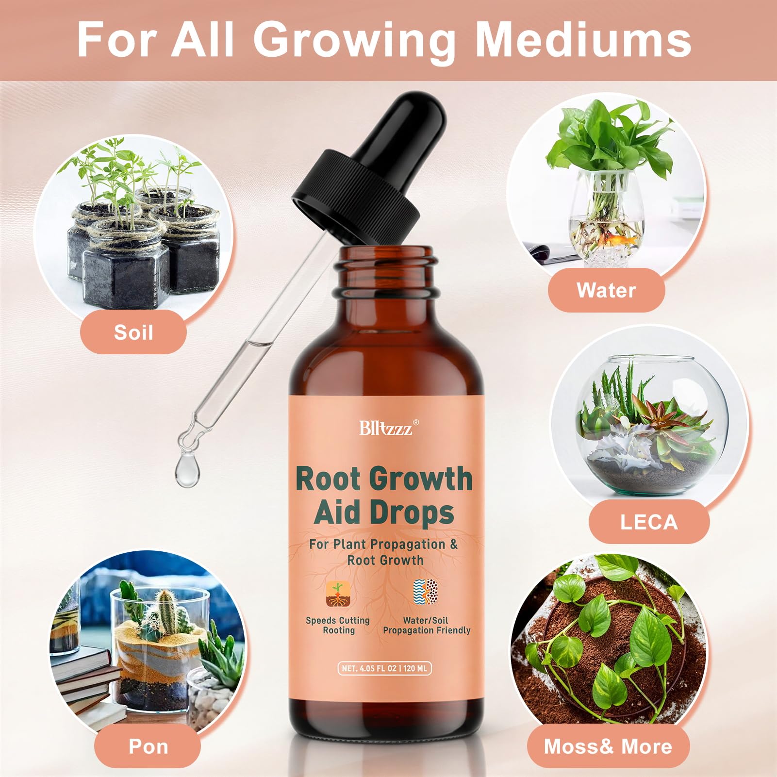 Montorchid Root Drops in a gardening setup