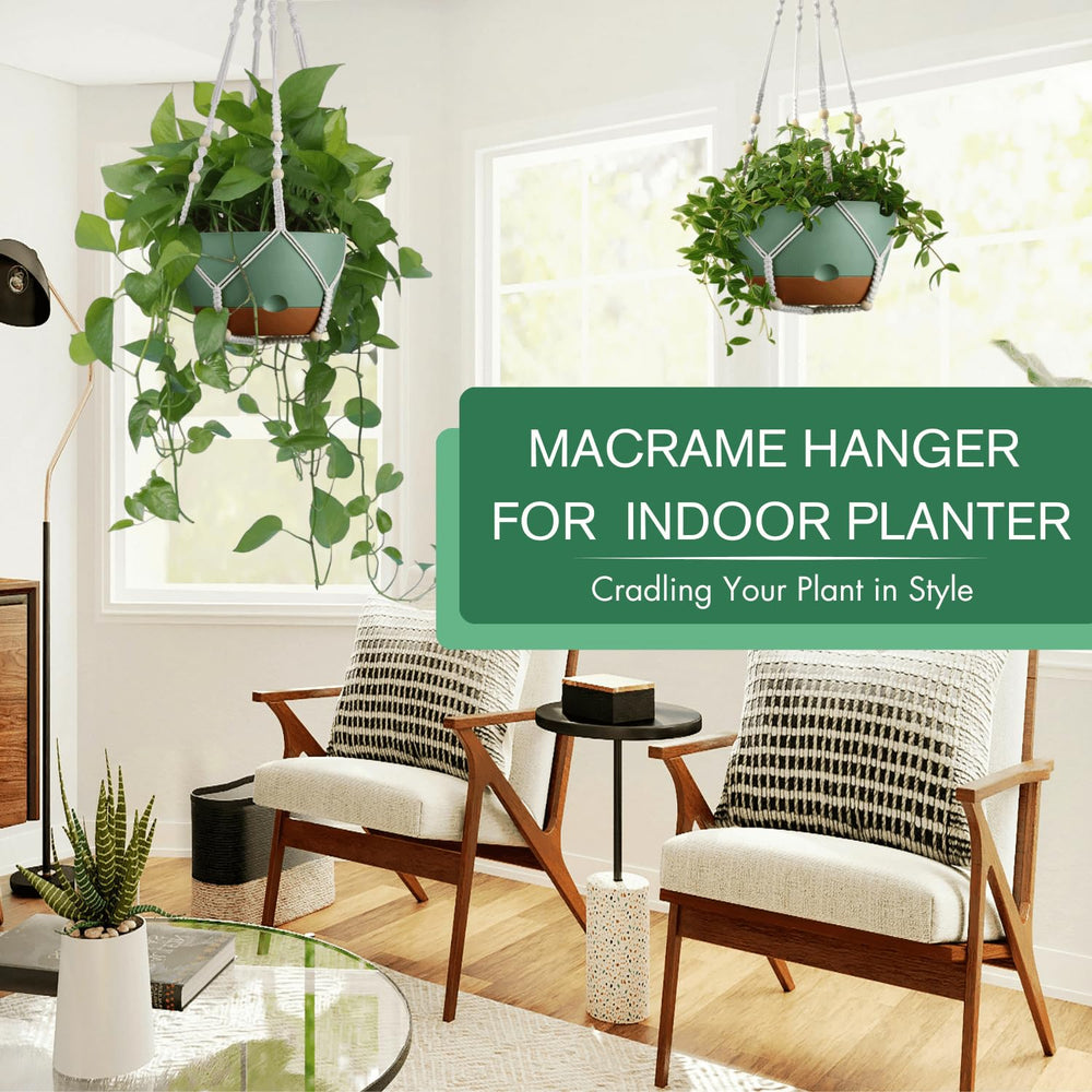 montresor 10 inch hanging planter with removable saucer