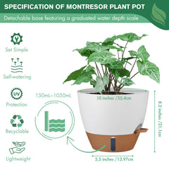 Montresor 10 inch self watering planter with plants arranged together