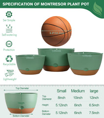 montresor 12 inch self-watering hanging planter with plants