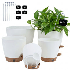montresor 5-Pack Self Watering Pots in white