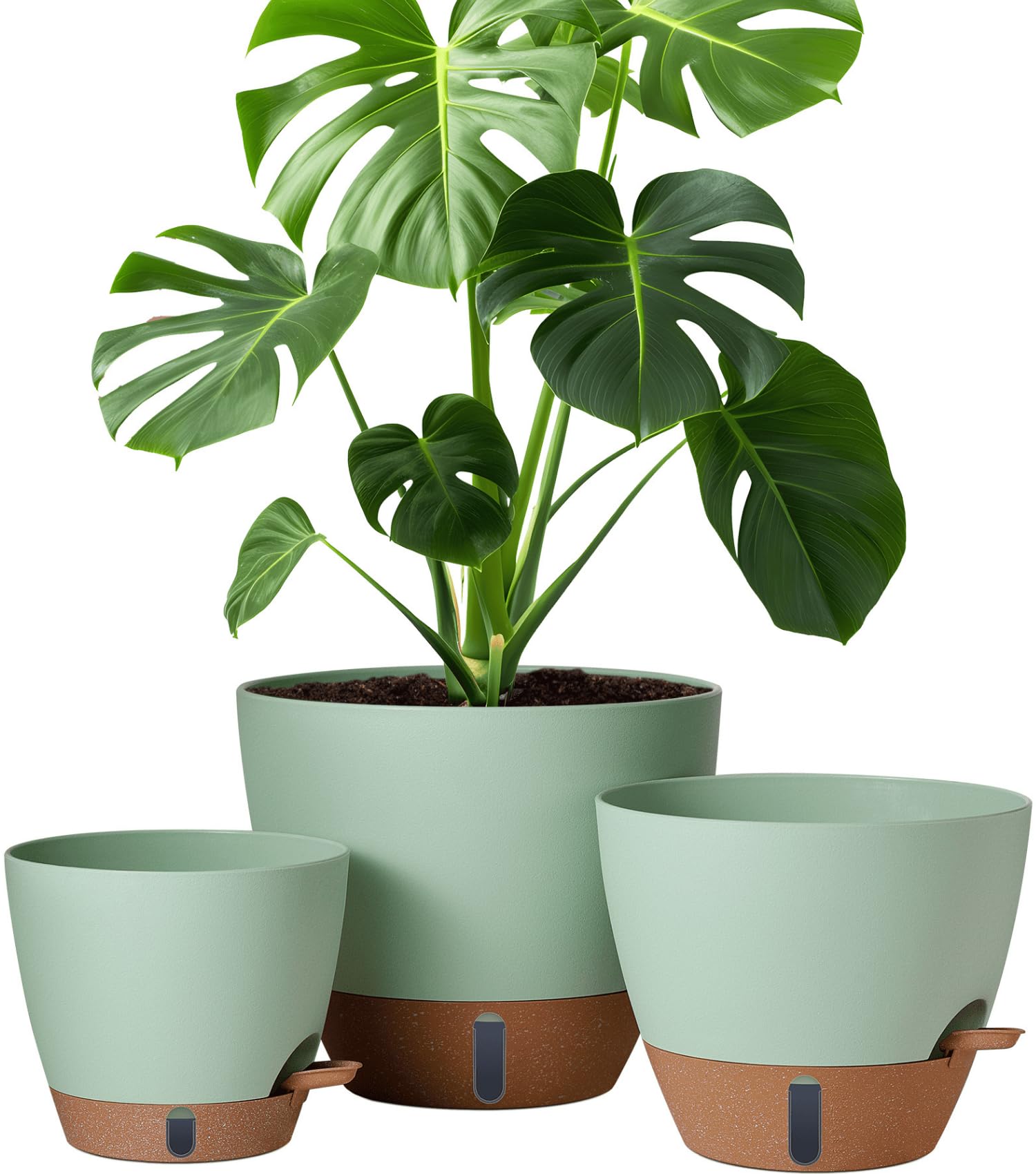 Montresor 8 Inch Self-Watering Pot with Tray and Water Window