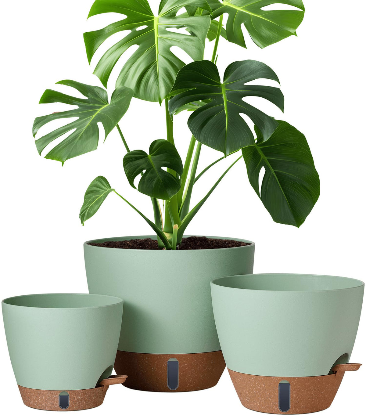 Montresor 8 Inch Self-Watering Pot with Tray and Water Window