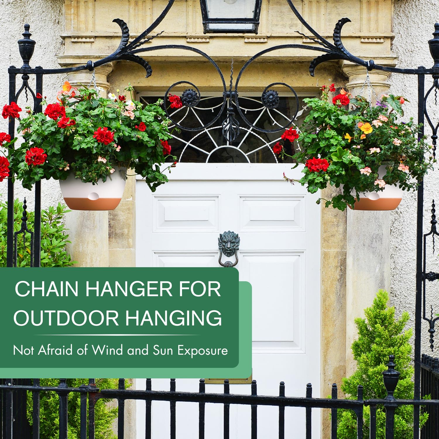 montresor hanging planters displaying various plants