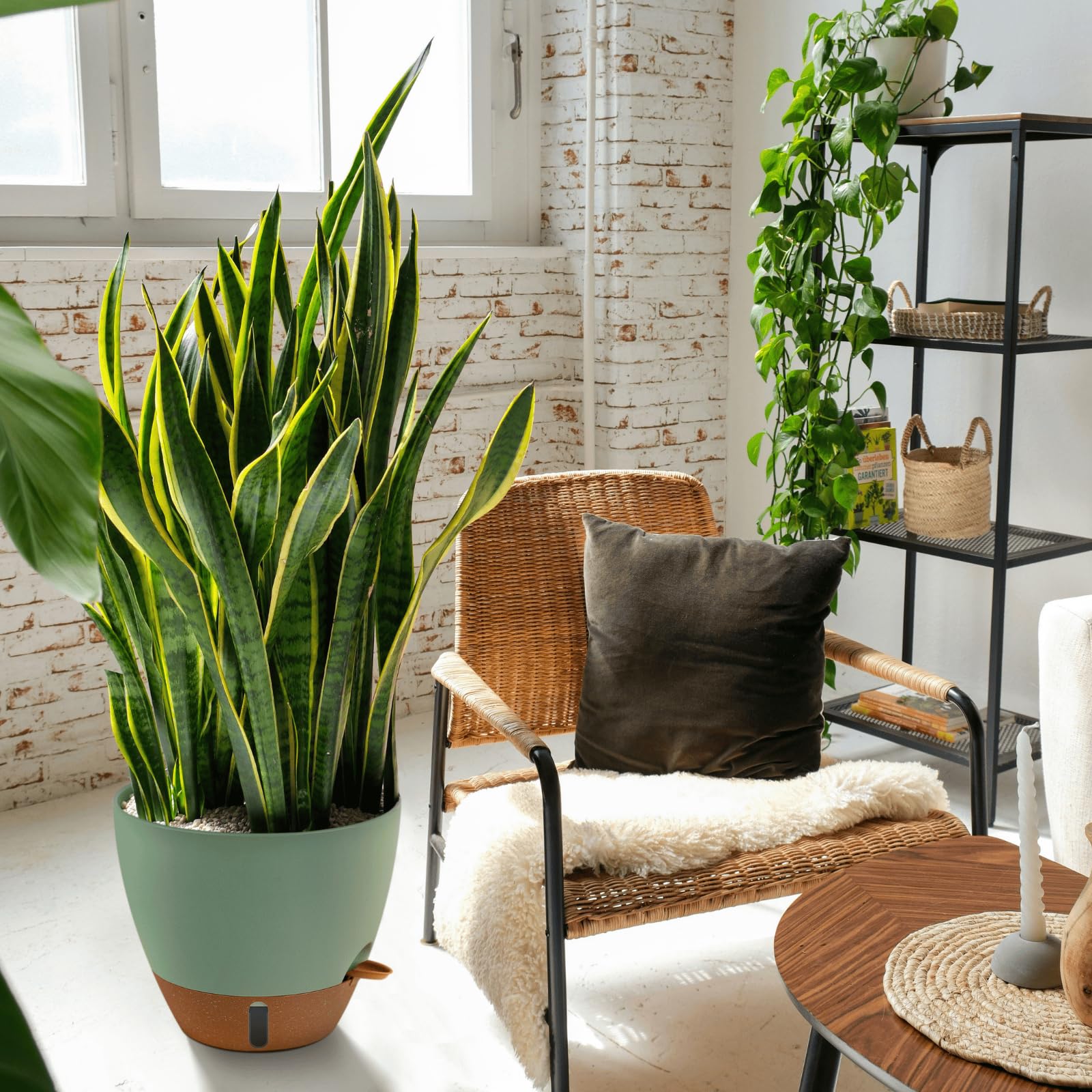 Montresor Modern Plastic Pots in Various Sizes