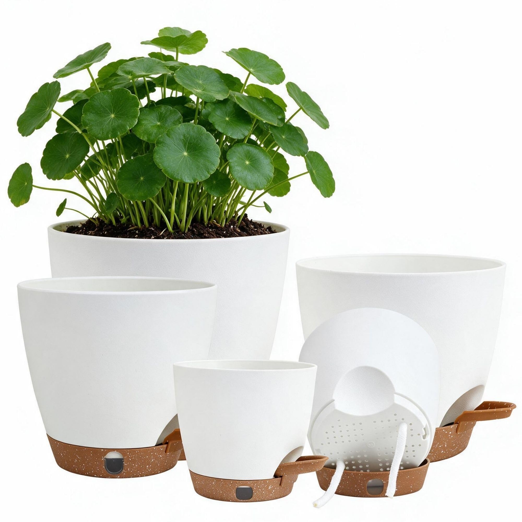 Montresor self watering pots set in various sizes white