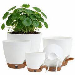 Montresor self watering pots set in various sizes white