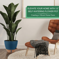 Montresor self-watering pots showing clear water level indicator