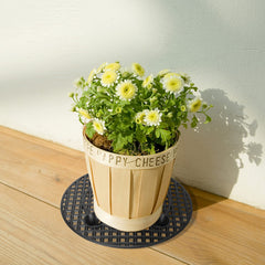 moonoom 12 inch plant stand showing durability and stability
