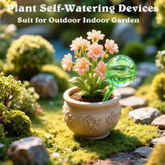 MOONSOUND self watering globe in use with a potted plant