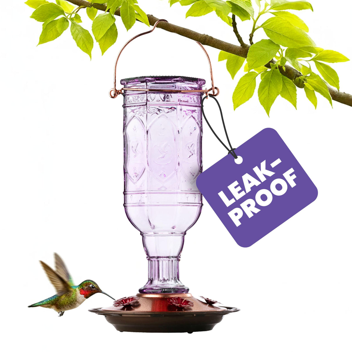 More Birds Amethyst Jewel Hummingbird Feeder front view with lavender glass