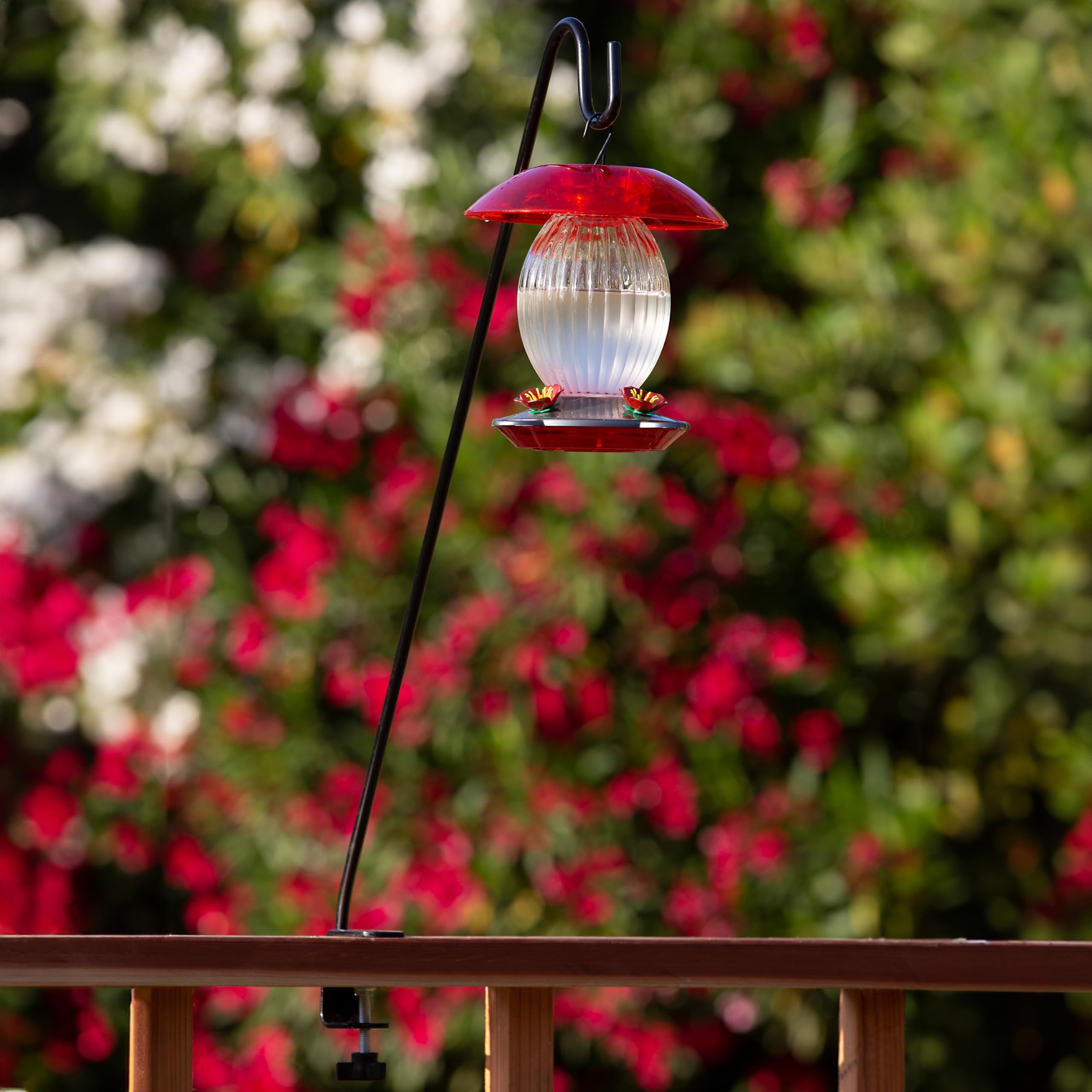More Birds deck hook with bird feeder hanging from it