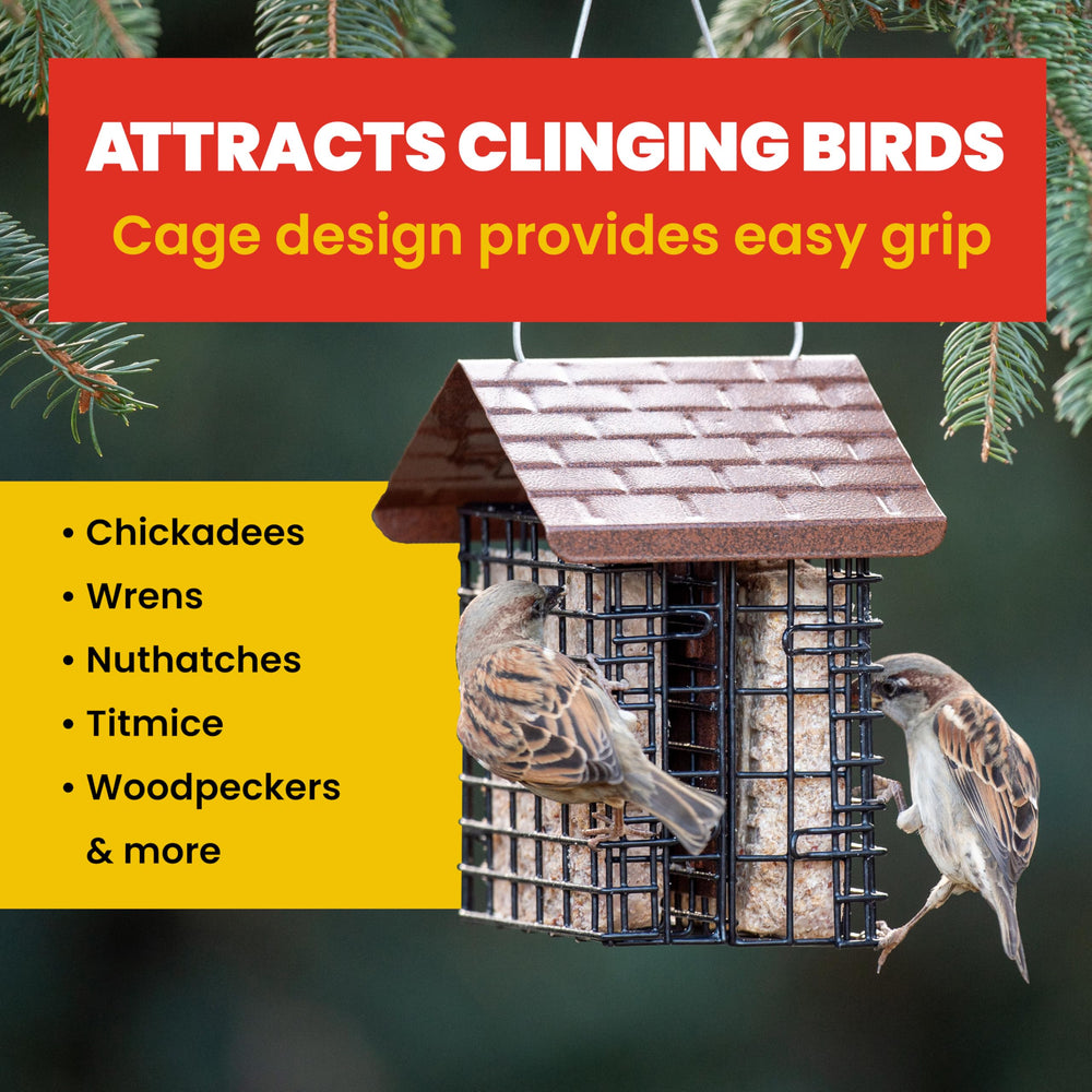 More Birds Double Suet Cake Feeder hanging in a garden setting