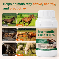 MORF Ivermectin Solution 240ml bottle side view