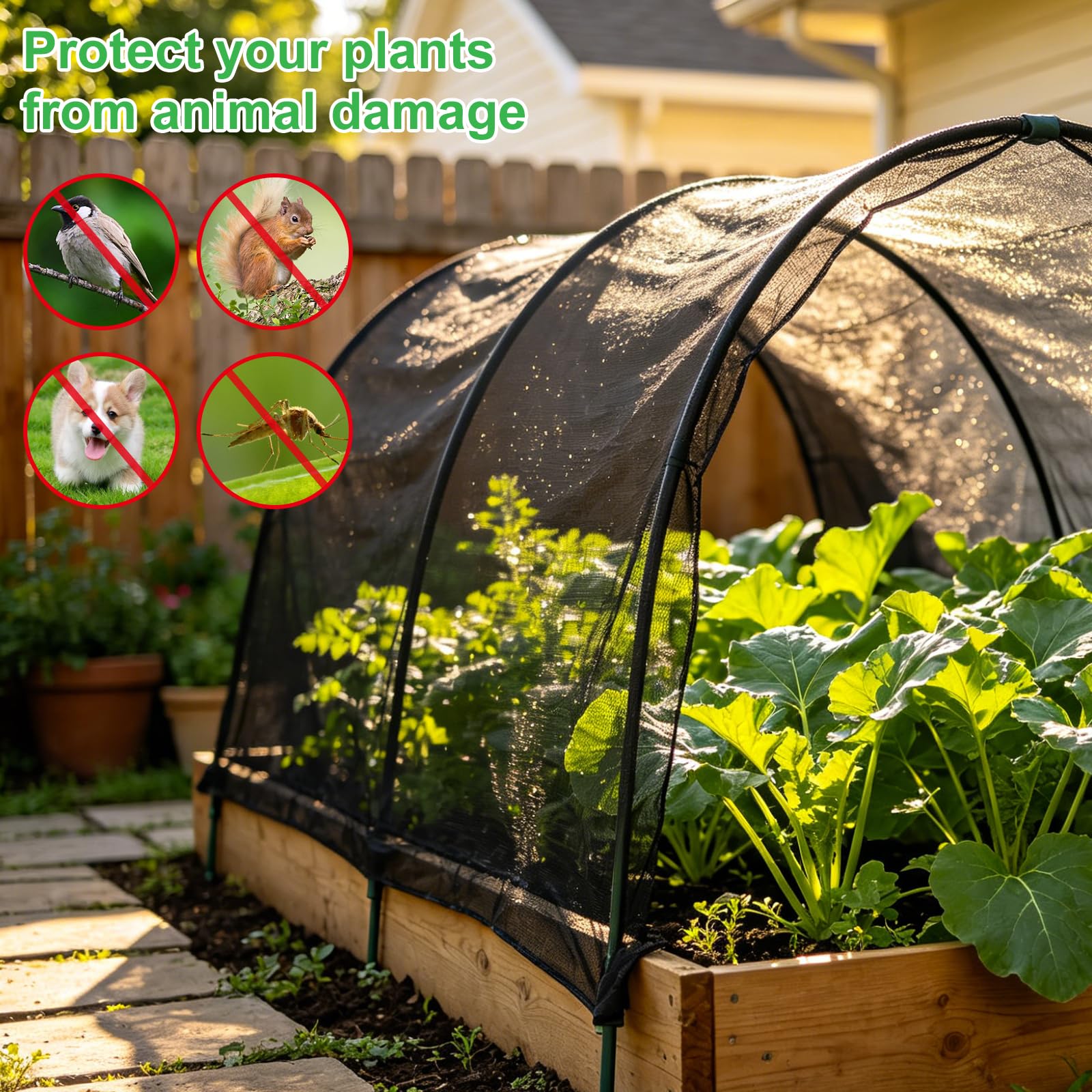 Morniartor mosquito netting covering fruit trees in a garden