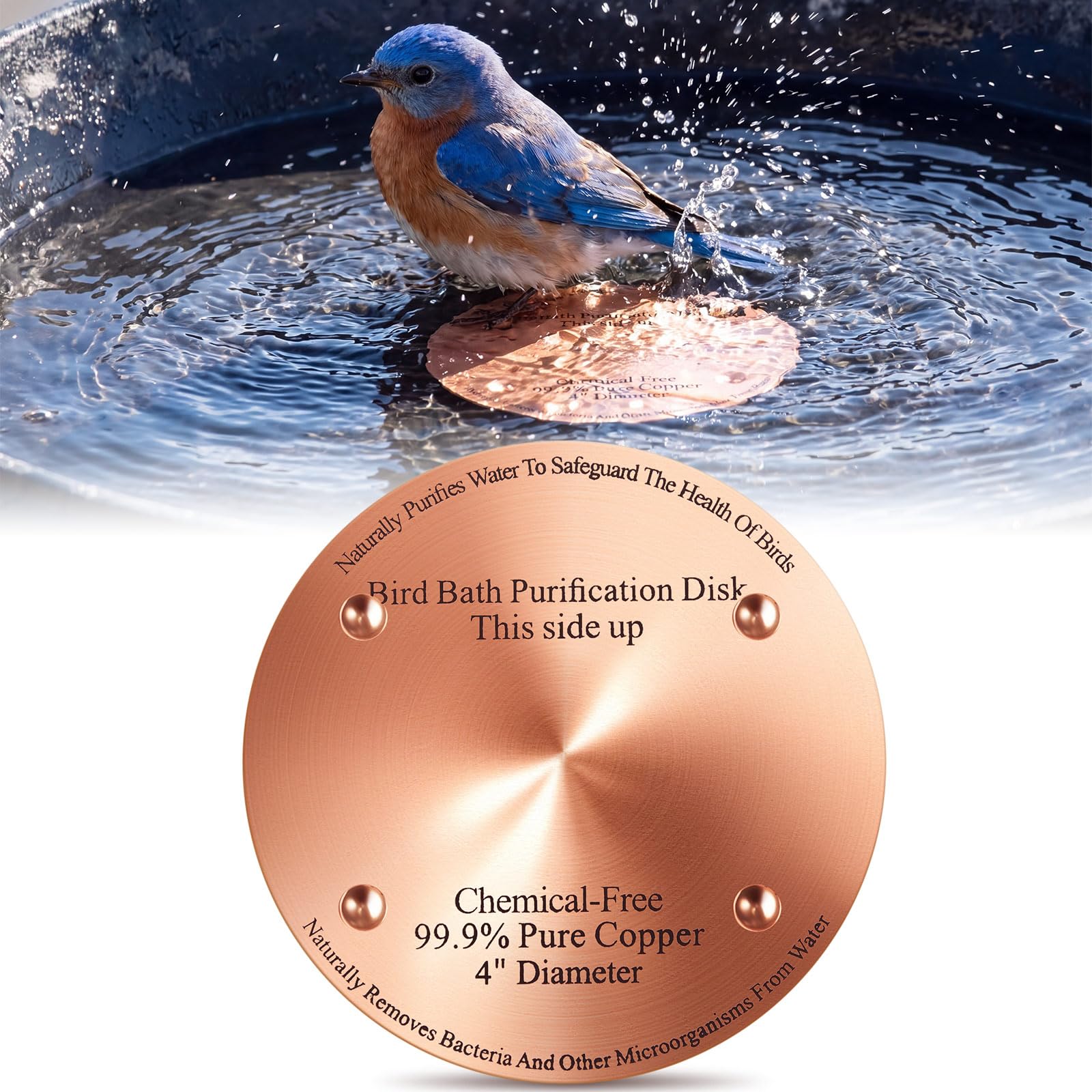 MorningRo copper bird bath purification disc front view