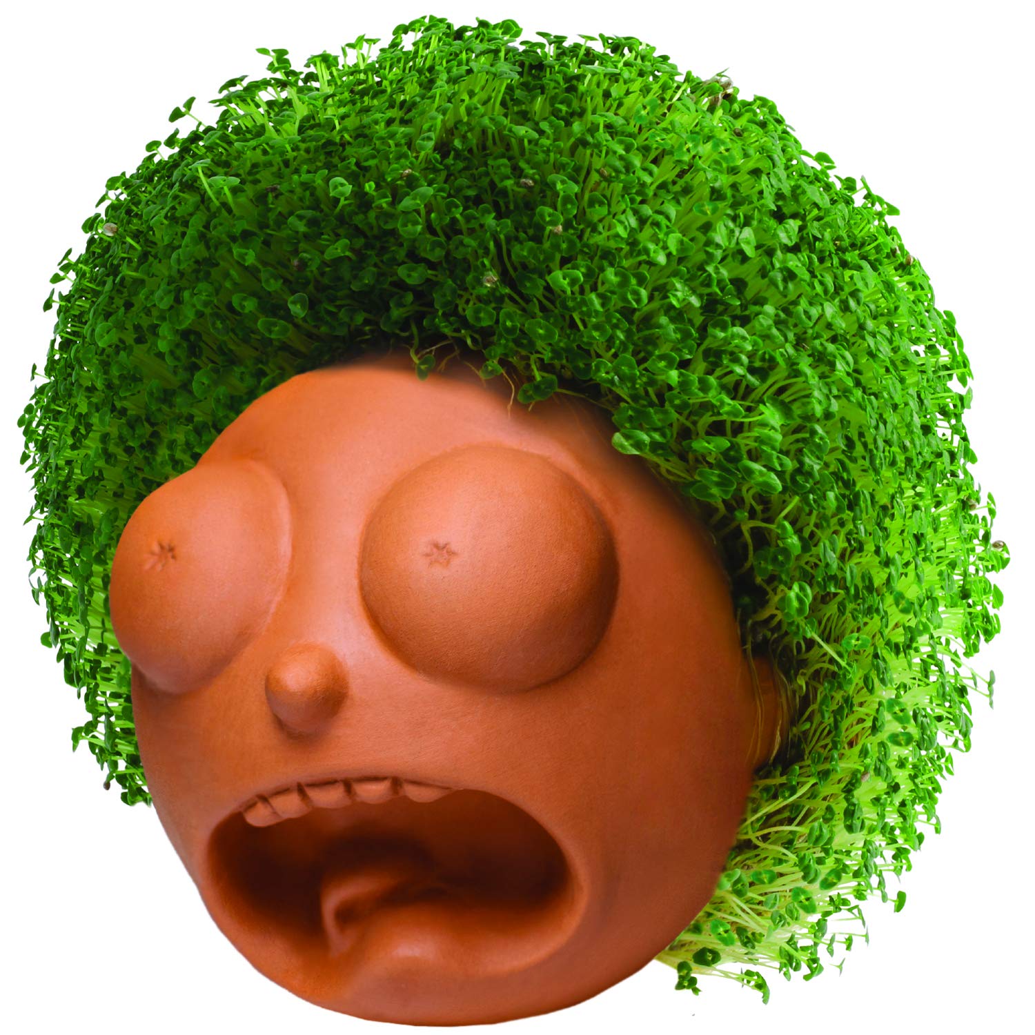 Morty Chia Pet planter with chia seeds growing