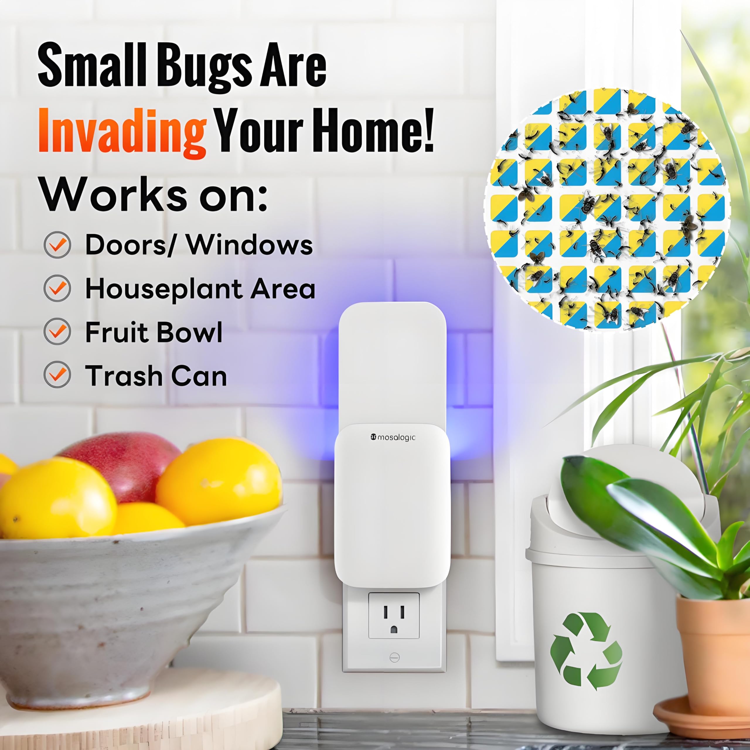 Mosalogic Fruit Fly Trap in a kitchen setting